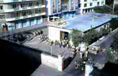 ���� ������ ��� ��� ����